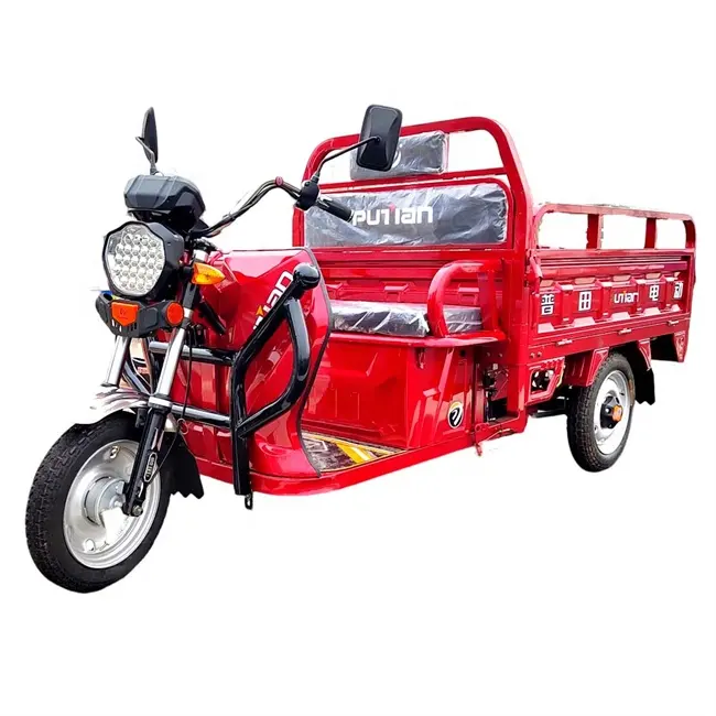 Easy 40Km Automobile 3 Passenger Electric Tricycle Three Wheel Or Family Use