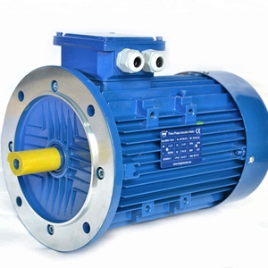 Motores Trifásicos de la Serie IE2, Tamaño de Marco 112, Potencia 4kw, 1500 Rpm - Product Image 4