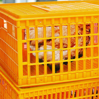 ZZ poules pondeuses en plastique dinde Cage poussin boîte de transfert poulet conteneur volaille Transport caisse