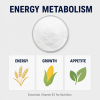 Poudre de Thiamine Vitamine B1 de qualité alimentaire, additif pour l'alimentation animale, pour porcs, volailles, prémélange nutritionnel pour l'alimentation aquacole, fabricant.
