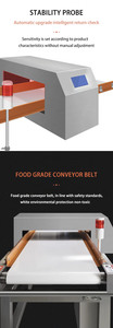Detector de Metales para Alimentos de Alta Eficiencia con Rechazador de Empuje para Producción de Snacks y Pan YY056 Detector de Metales Profesional - Product Image 6