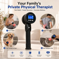 Appareil de thérapie anti-douleur portable le plus vendu, appareil médical de thérapie laser électrique, machine de massage