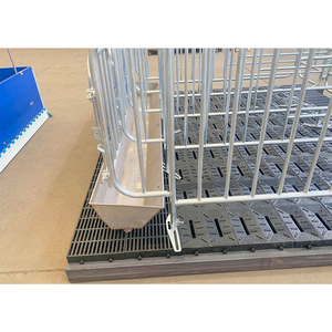 Stylo galvanisé de gestation de truie d'équipement d'élevage de porc d'immersion chaude pour des porcs - Product Image 3