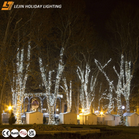 Guirlandes lumineuses LED blanches en PVC imperméables IP44 pour la décoration de fêtes et de festivals en extérieur, personnalisables pour la Noël