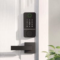 Cylindre de serrure intelligent de haute sécurité sans poignée pour la maison en alliage d'aluminium Cerradura Inteligente Candado Serrure De Porte Cloud Card