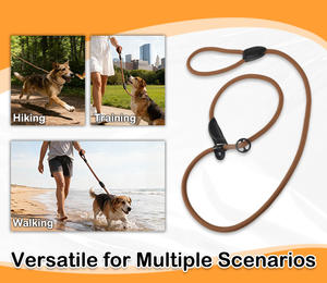 Laisse pour chien en <span class=keywords><strong>corde</strong></span> tressée de traction pour sports de plein air, durable, pour chiens de petite et moyenne taille - Product Image 4