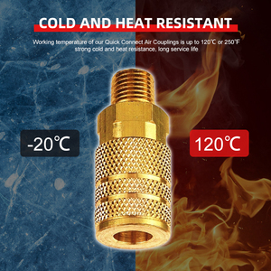 Chất Lượng Cao Brass Xây Dựng 1/4 & 3/8 Npt Chủ Đề Kết Nối Tru-flate Phong Cách Ô Tô Không Khí Coupler - Product Image 5