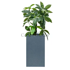 Coffco High Quality 10 Inch Straight Tall Square Plastic Large Pot Classic Popular In Europe Asia For Indoor Outdoor Use