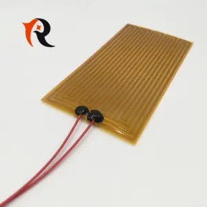 Elektrische Pi Verwarmer Flexibele Kapton Film Verwarmer 12V/24V Polyimide Verwarmer