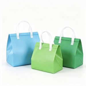 Sac isotherme en PP non tissé biodégradable et écologique avec poignée à patch, impression de logo, tailles personnalisées, pour boissons et plats à emporter - Product Image 2