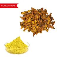 HONGDA ผงสกัดจากจีน Coptis,Berberine Hydrochloride Berberine Hcl