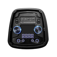 Nouvelle Enceinte Portable PA Bluetooth DJ Double 8 Pouces Sans Fil avec Lumières Tendance – Idéale pour les Fêtes et les Événements