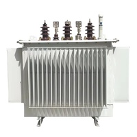 Transformateur triphasé immergé dans l'huile 10kV 100kVA 200kVA 250kVA 400V 50/60Hz Économe en énergie Entièrement étanche Bobinage en cuivre IP54 CE