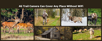 Caméra de chasse 3MP Ubox Ucon App avec projecteur, carte SIM 4G, étanche IP66, panoramique/inclinaison, audio bidirectionnel pour la chasse aux animaux en extérieur