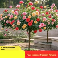 Fabrieksdirect groothandel Valentijnsdag Drie 3 Eeuwige Verse Rozen Glazen Koepel Decoratie Planten Amerikaanse Stijl