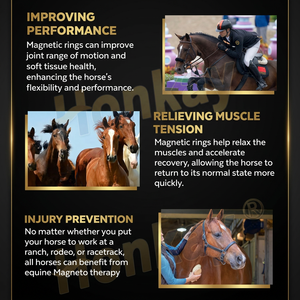 Dispositivo Portátil de Terapia PEMF y <span class=keywords><strong>Tecar</strong></span> 2 en 1 para Alivio del Dolor, con Certificación CET y SmartTecar, para Uso Veterinario en Perros y Gatos, con Capacitación Gratuita - Product Image 3