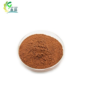 Poudre d'extrait de prêle biologique de haute qualité en gros d'usine avec 7% silicique - Product Image 1