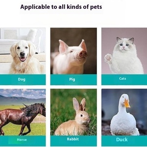 ينصح الطبيب البيطري باليد الحيوانات الأليفة بالأشعة تحت الحمراء للكلاب مفصل العمود الفقري القطني كلب كهربائي - Product Image 4