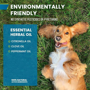 自然なペットの健康補助食品犬と猫のアナル花のサポートのための柔らかいチューノミに対して効果的なパンプキンパウダー - Product Image 6