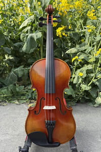 Violon antique artisanal italien Sinomusik, plaqué à la main, prêt à jouer en concert - Product Image 3