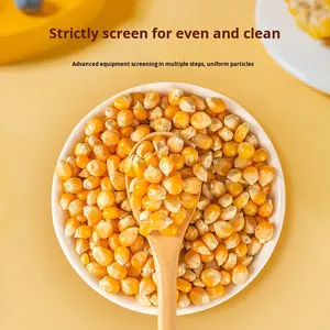 เมล็ดข้าวโพดพองรูปทรงกลมและรูปทรงผีเสื้อ วัตถุดิบพิเศษสำหรับทำป๊อปคอร์น ขายส่ง ขายปลีกแบบชิ้นเดียว ดร<span class=keywords><strong>อป</strong></span>ชิปปิ้ง - Product Image 1