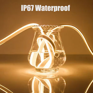 Wholesales AC220V 110V Neon Light <b>Strip</b> 50m 100m One Roll Neon Rope Light for Outdoor Decoration 8*16mm Neon <b>Led</b> Lights - Product Image 3