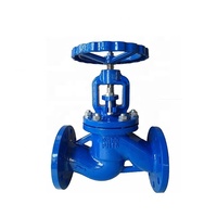 Pn16 Ductile Iron Cast Iron Steam Bellow Seal Harga Katup Globe Kontrol Air