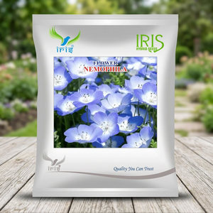 Iris Nemophila Mix Híbrido OP 300 Semillas, Capullo Pequeño Multicolor, Floración Prolongada, Recién Cortado, Importado, 6570 Días de Maduración - Product Image 3