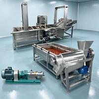 Ligne complète de production de purée de tomate 500 kg/h : lavage, pulvérisation, concentration, remplissage, tout en un