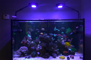 94W WiFi app contrôle <span class=keywords><strong>Aqua</strong></span> Plus M8 <span class=keywords><strong>LED</strong></span> Marine Aquarium Lighting <span class=keywords><strong>LED</strong></span> Reef Light Sunrise and Sunset WIFI system - Product Image 4