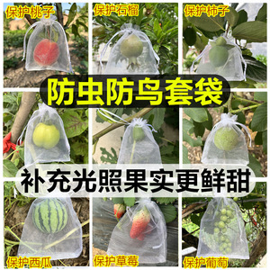 Haihua Fruit Protection <b>Mesh</b> Bag Anti <b>Insect</b> Bird For Strawberry Fig Pomegranate Grape Tomato Gardening Use - Product Image 1