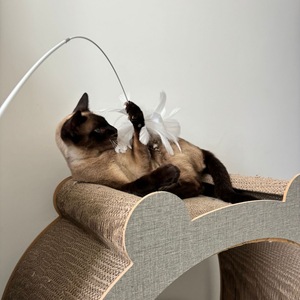 <strong>Cat</strong> Teaser Stick Interactive Funny Feather With Bell Sucker <strong>Cat</strong> Stick Toy Kitten Playing Teaser <strong>Wand</strong> Toys for <strong>Cats</strong> - Product Image 4