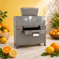 Nouveau presse-agrumes électrique commercial pour oranges, citrons, citrons verts mexicains et citrons verts du désert australien