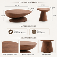 Ensemble de tables basses ovales modernes vintage, style nordique design, meubles créatifs pour salon, vente en gros