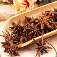 Anís Estrellado Premium de Alta Calidad, Especias Secas, 1 kg, Venta al por Mayor, Origen China, 24 Meses de Duración, Listo para Usar