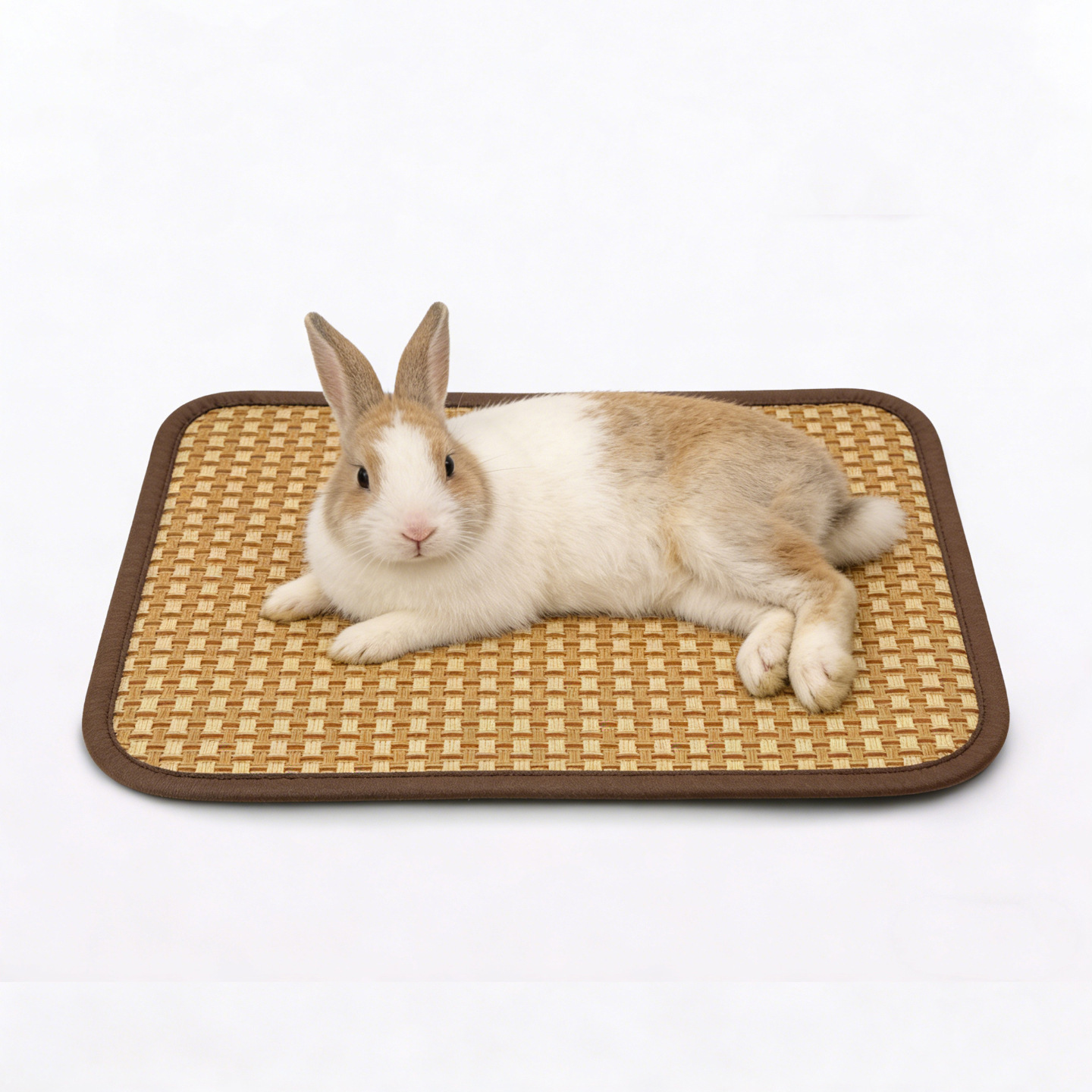 Taille XS, 20*30 cm [style cage]