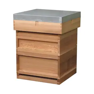 Wholesale beekeeping premium wood British National Beehives made in China