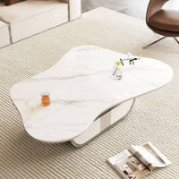 Table basse écologique style papillon avec plateau ovale en pierre frittée, tiroir de rangement, base en acier inoxydable et meuble en MDF