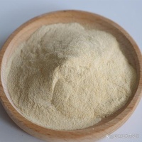 Gomme Welan pour boues de forage à base d'huile et d'eau - Excellente suspension, transport des débris, stabilité du pH 4-12