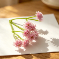 Accessoire capillaire minimaliste en plastique, fleur artificielle de gypsophile, faite à la main, pour couronne de cheveux DIY, écologique, pour usage extérieur
