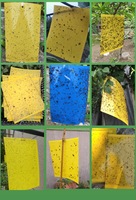 Piège à insectes en colle pour arbres fruitiers, 20*25 cm, produits de lutte antiparasitaire pour serres