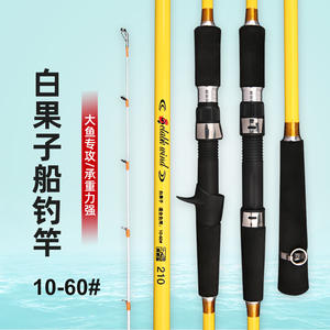 Caña de Pescar Blanca para Pesca en Barco, 6m, Acción Media Rápida, Pesca en Agua Salada - Product Image 1