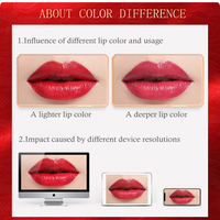 Rouge à lèvres mat sculpté, nourrissant, waterproof, longue tenue, pigment riche, 6 teintes, OEM ODM, marque privée, logo personnalisé, vente en gros