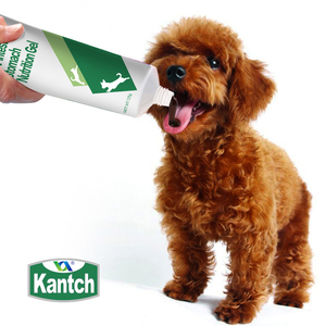 Private Label Suplemento Vitamínico Nutricional Saudável Gel Creme Cat <span class=keywords><strong>Dog</strong></span> <span class=keywords><strong>Food</strong></span> para Intestinos Estômago Premium Pet <span class=keywords><strong>Food</strong></span> - Product Image 6