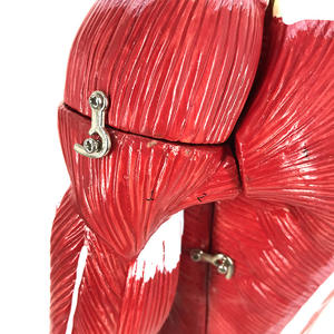 80cmプラスチック人間の筋肉モデルアート医学シミュレーション骨格筋組織計画モデルフィットネスPvc教育モデル - Product Image 4