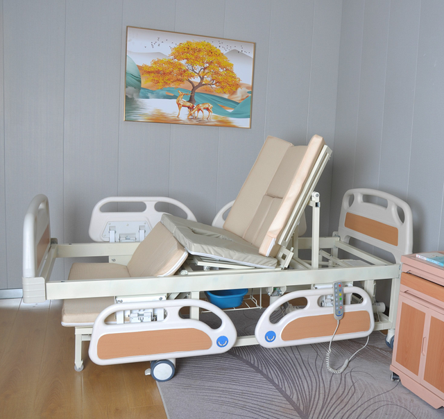 Multi Function Electric Care Bed Function Manual Full Curve Nursing Bed White Mute Wheel Home Care Bed