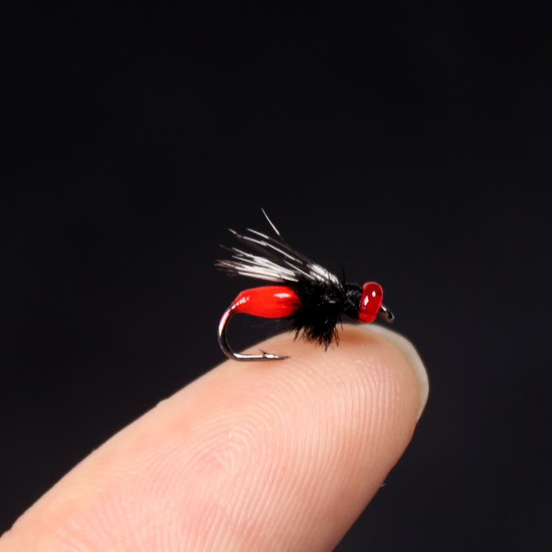 ailes tachetées de gris rouge