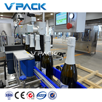 Machine de remplissage automatique de bouteilles de Champagne en verre, machine de remplissage de liqueur étincelante/machine de liage de fil d'acier de bouchon de liège