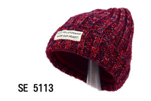 Gorros acrílicos holgados con bordado 3D, calidez de invierno para clima nevado, forro suave agradable a la piel, engrosado, calentado, para viajes - Product Image 4