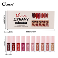 Ensemble de 10 gloss à lèvres mats, mini, portable, léger, longue tenue, cosmétiques OEM en gros